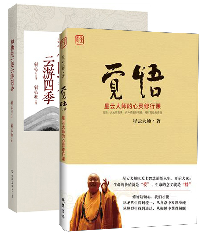 悟（京东套装共2册）