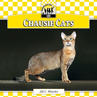 Chausie Cats