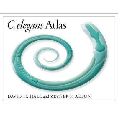 预订 C. Elegans Atlas