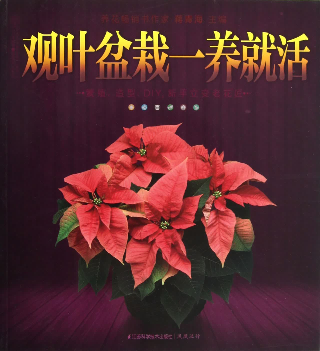 观叶盆栽一养就活
