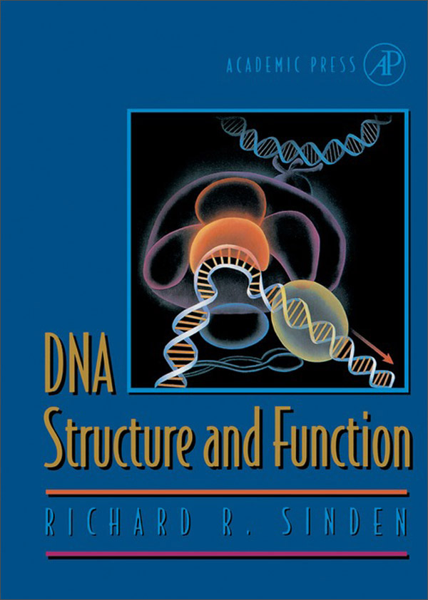 dna structure and function