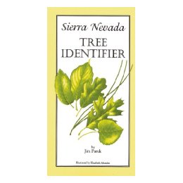 Sierra Nevada Tree Identifier