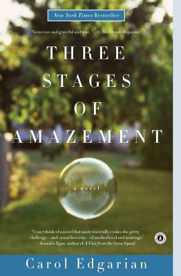 stages of,stages of life 【预订】three stages of amazement