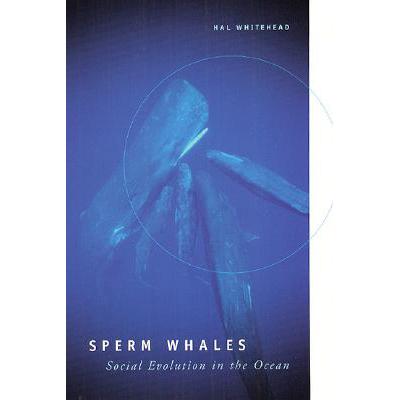 预订 Sperm Whales: Social Evolution in the Ocean