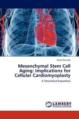 Mesenchymal Stem Cell Aging: