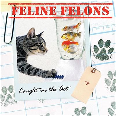 预订 Feline Felons: Caught in the ACT