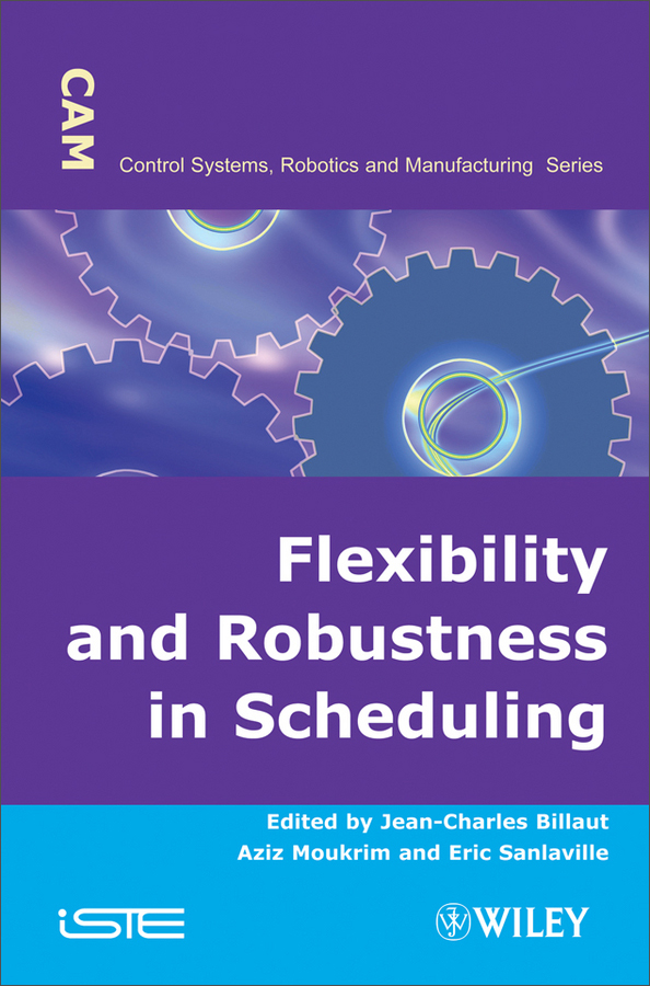 flexibility and robustness in scheduling