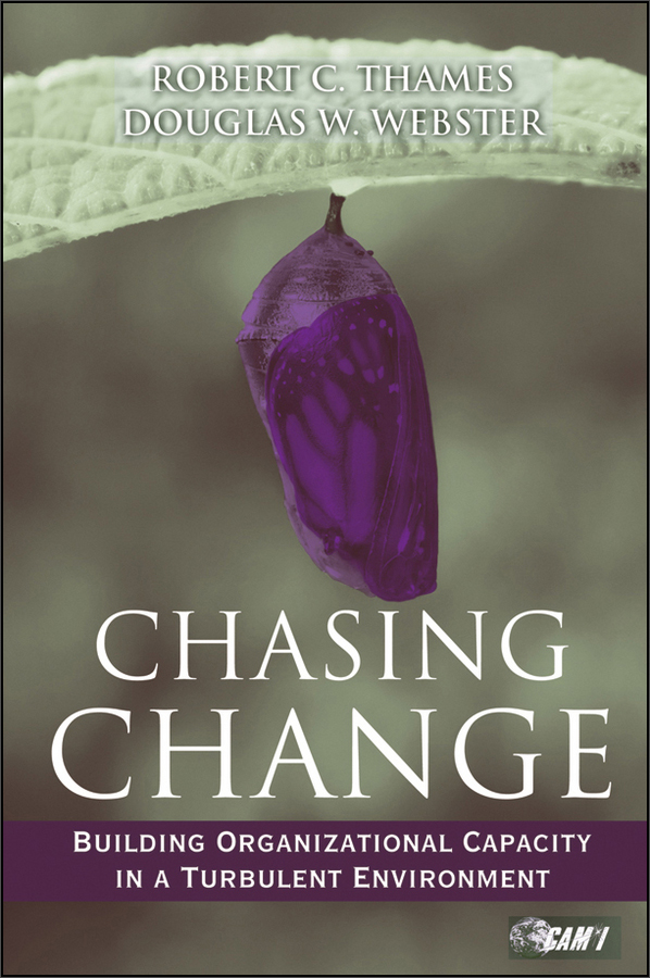 chasing change: building organizational capacity in a turbulent