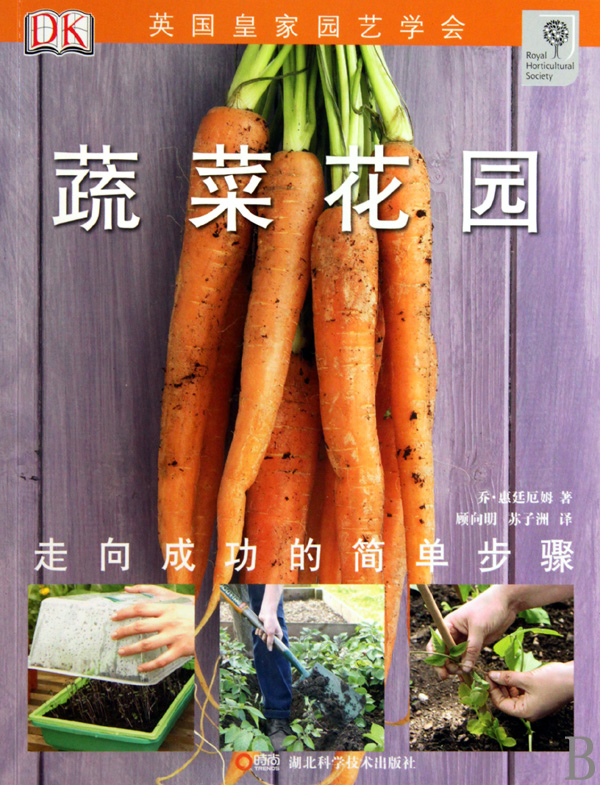 蔬菜花园