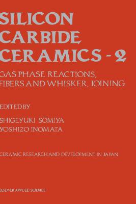 silicon carbide, 【预订】silicon carbide ceramics gas phas