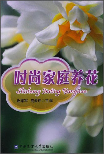 时尚家庭养花