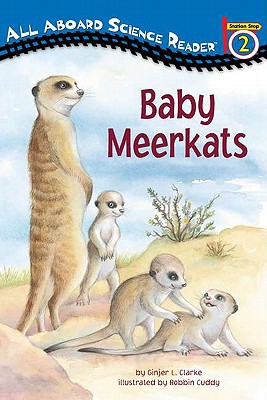 Baby Meerkats