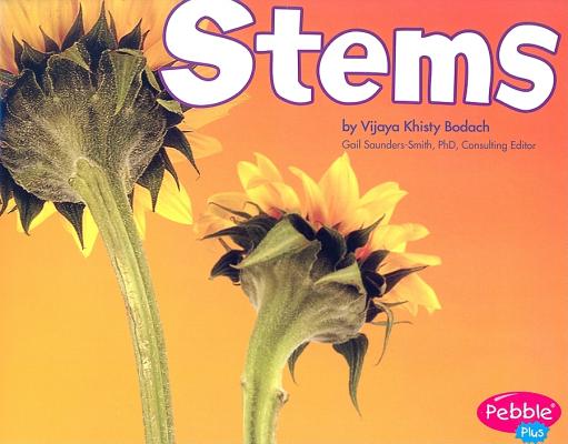 Stems (Plant Parts) 植物组成部分：茎 