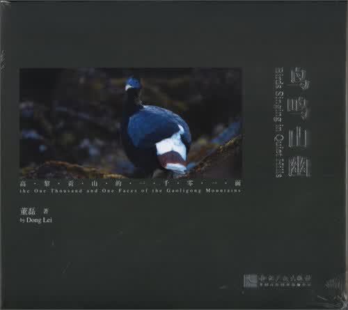鸟鸣山幽