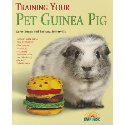 预订 Training Your Pet Guinea Pig