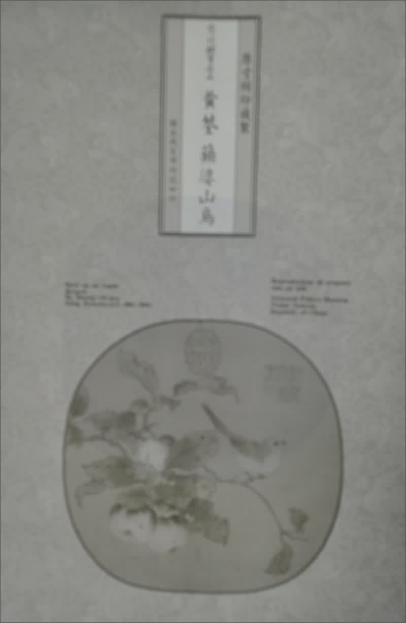 宋 黃荃 蘋婆山鳥畫心（絹布）