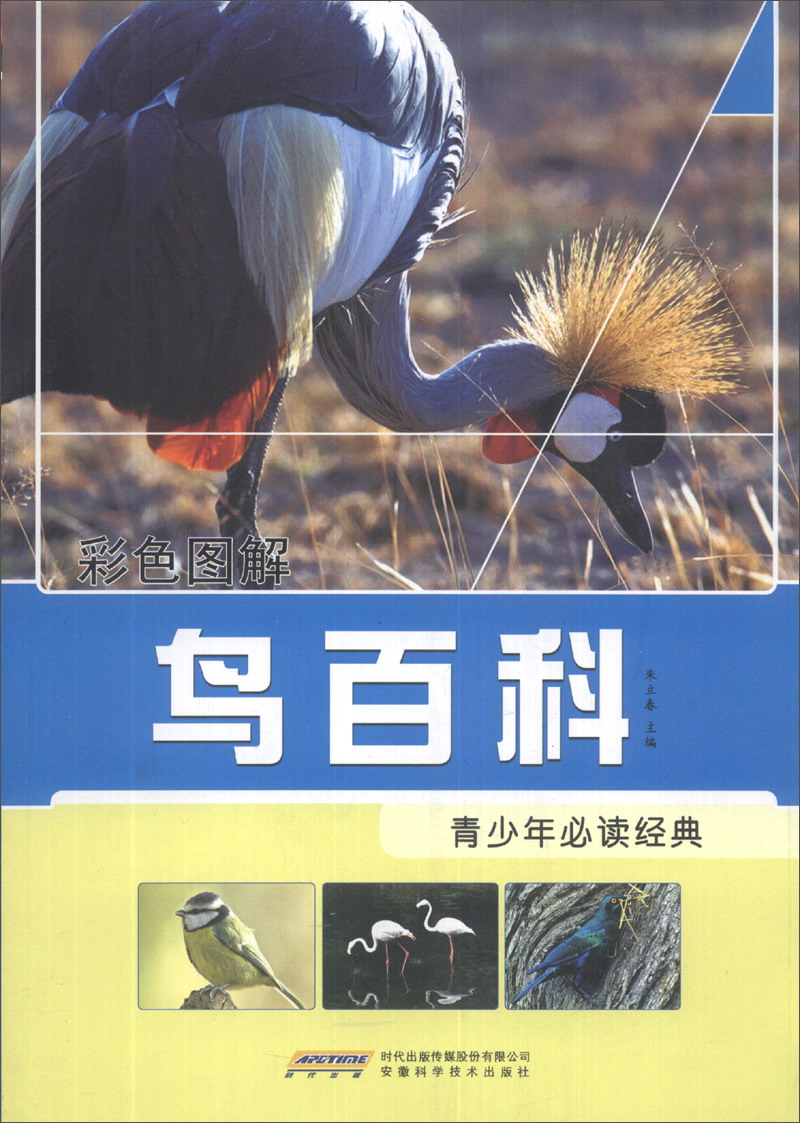 鸟百科(四色印刷)