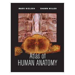 Atlas Of Human Anatomy, Firs