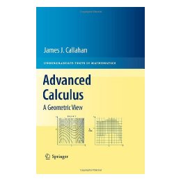 预订 Advanced Calculus : A Geometric View