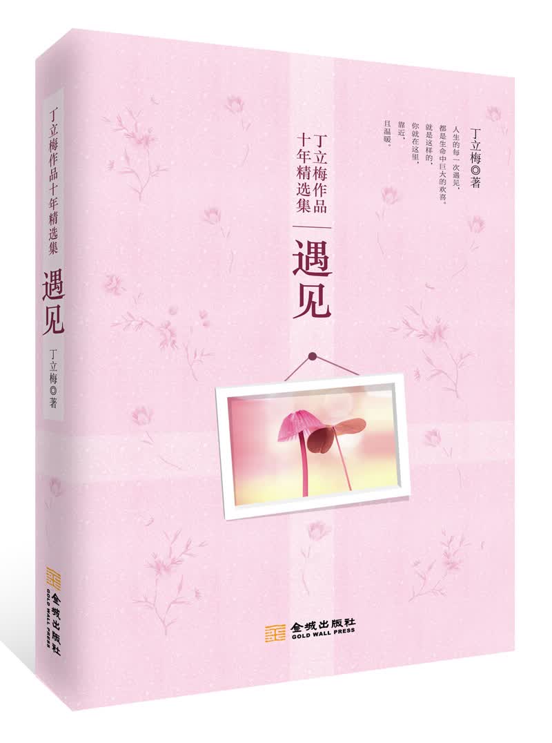 丁立梅作品十年精选集：遇见