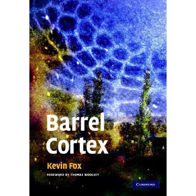 预订 Barrel Cortex