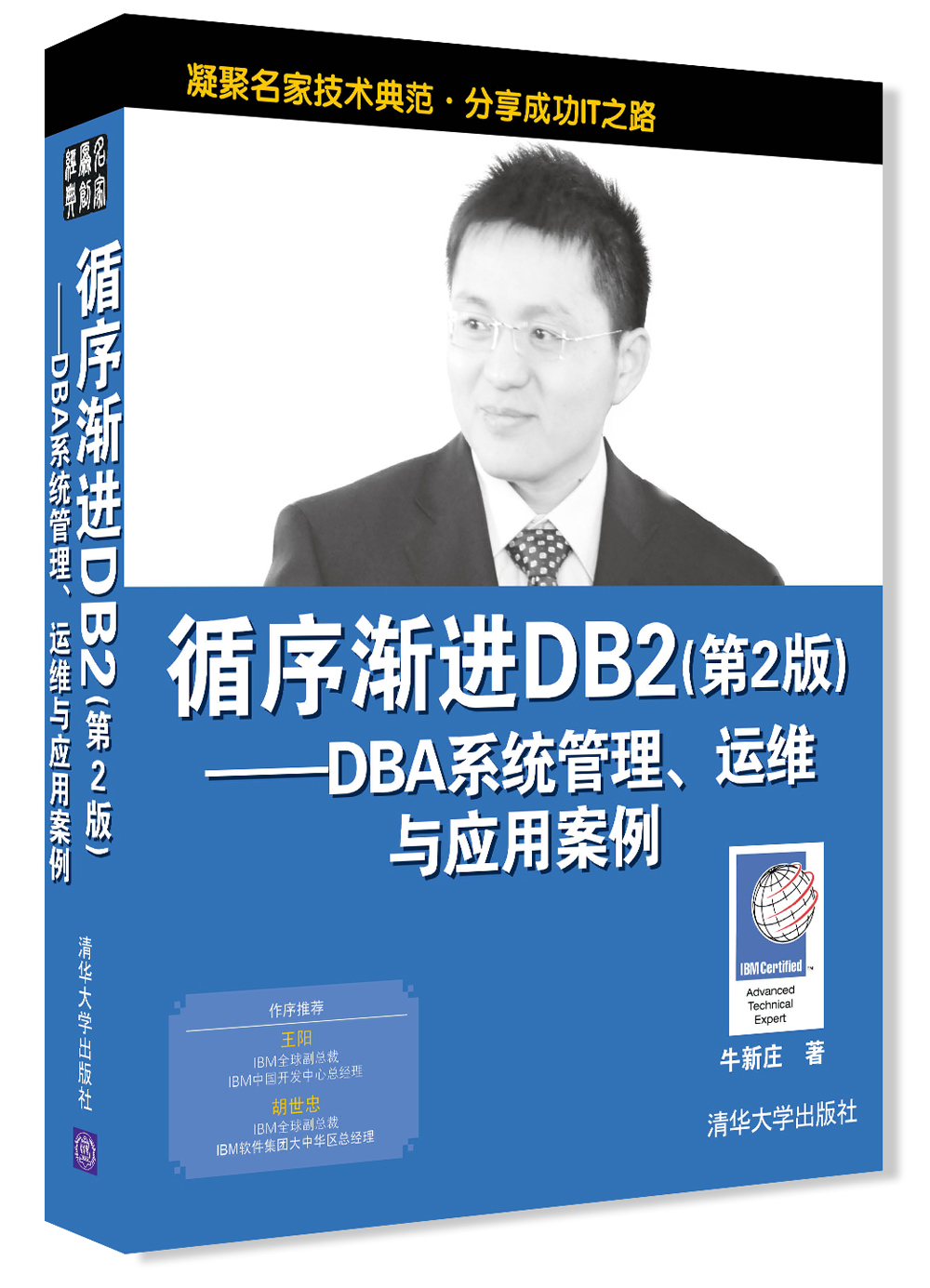 循序渐进DB2：DBA系统管理、运维与应用案例（第2版）