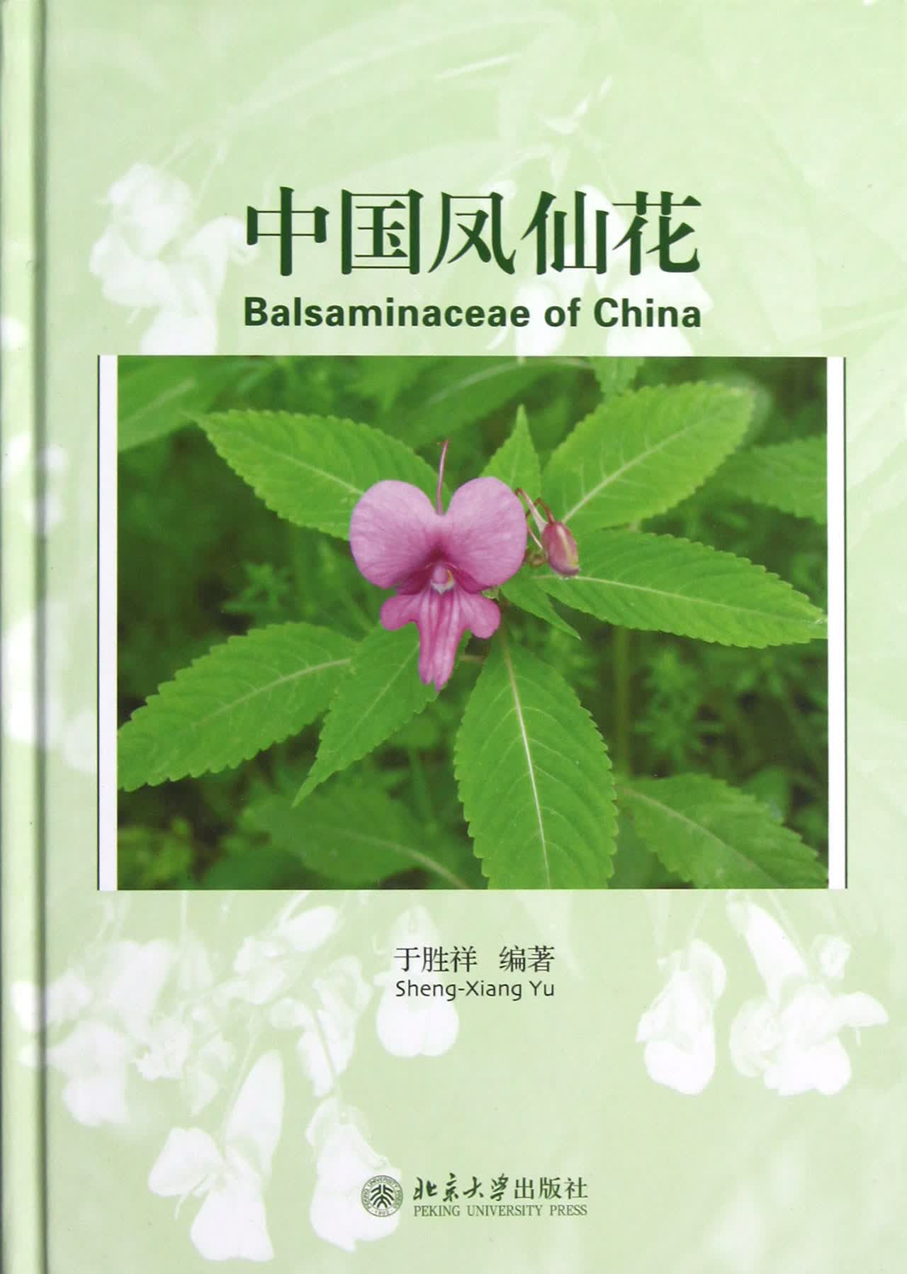 中国凤仙花(精)