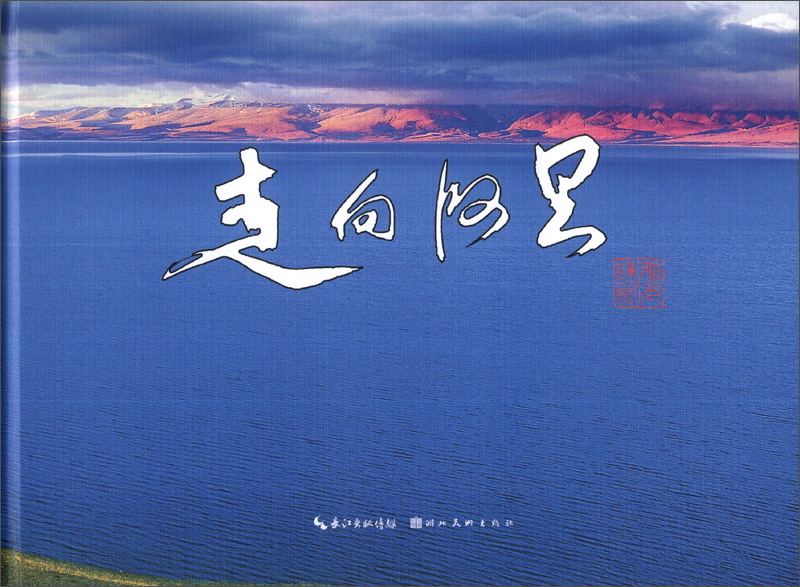 走向阿里9787539464176