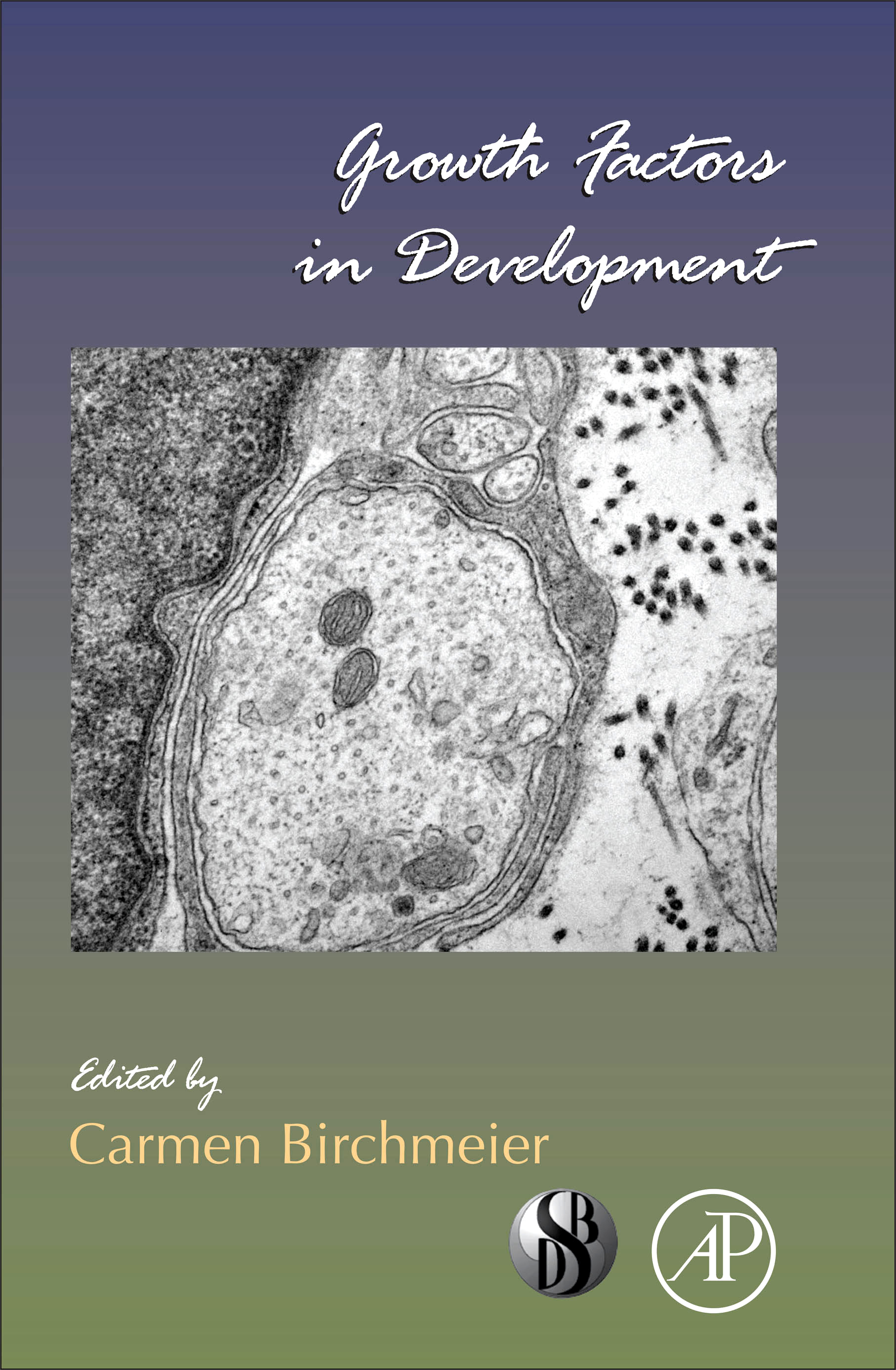 growth factors in development