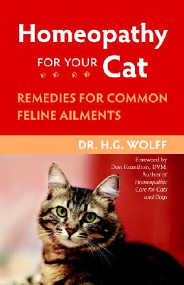 homeopathy for your cat: remedies for common feline ailments