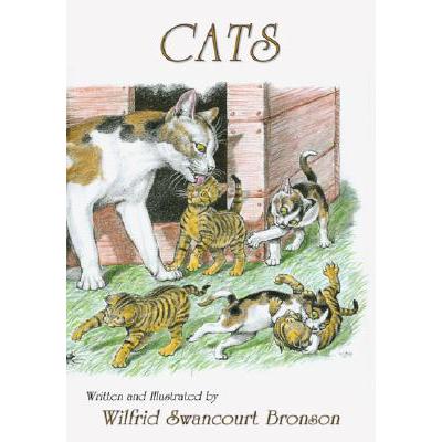 预订 Cats
