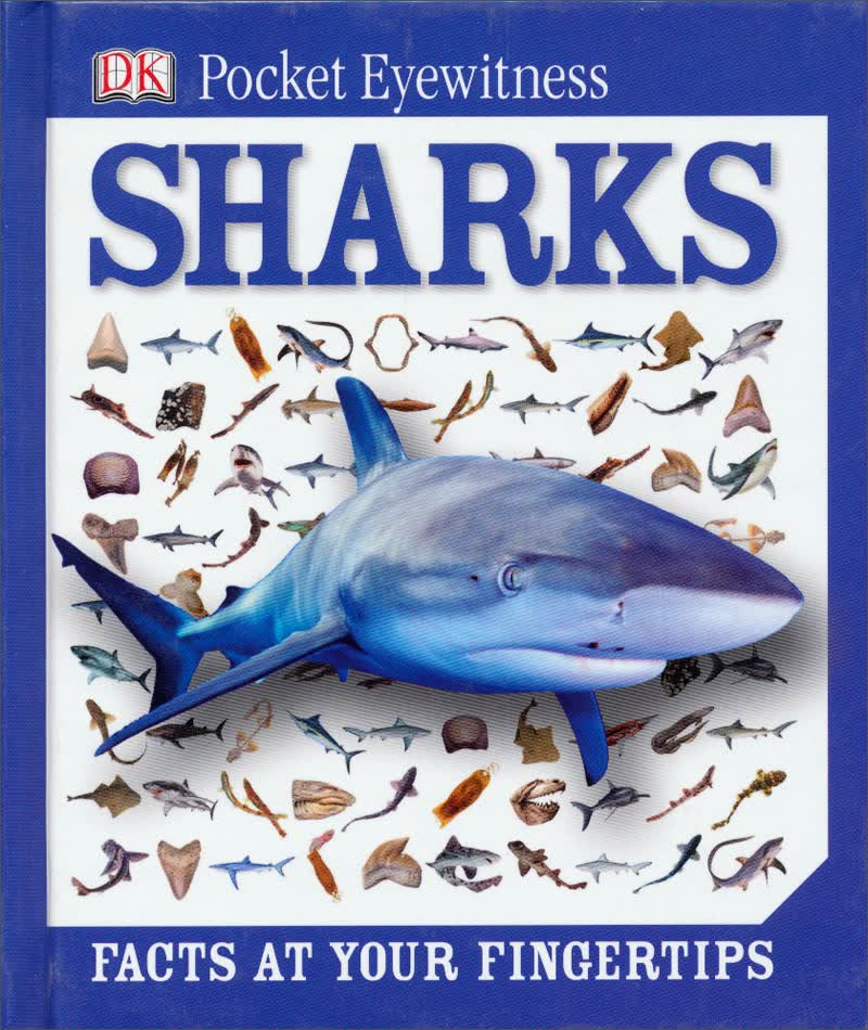 DK Pocket Eyewitness Sharks 英文原版