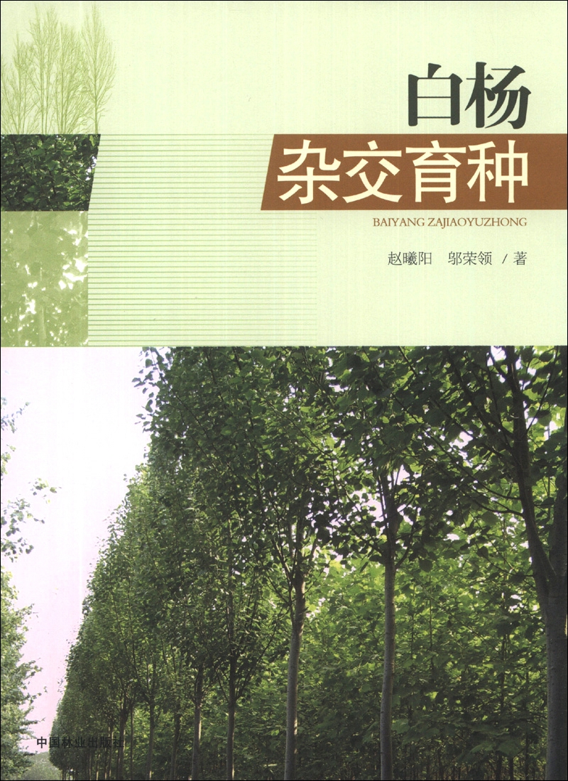 白杨杂交育种