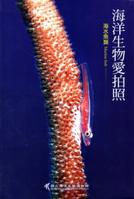 海洋生物愛拍照：海水魚類