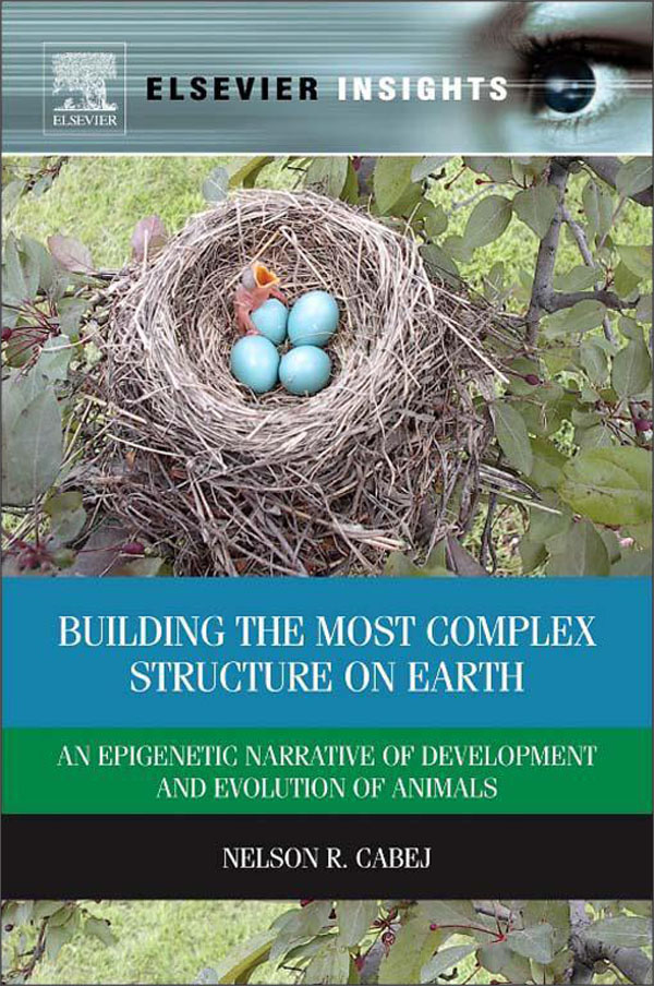building the most complex structure on earth
