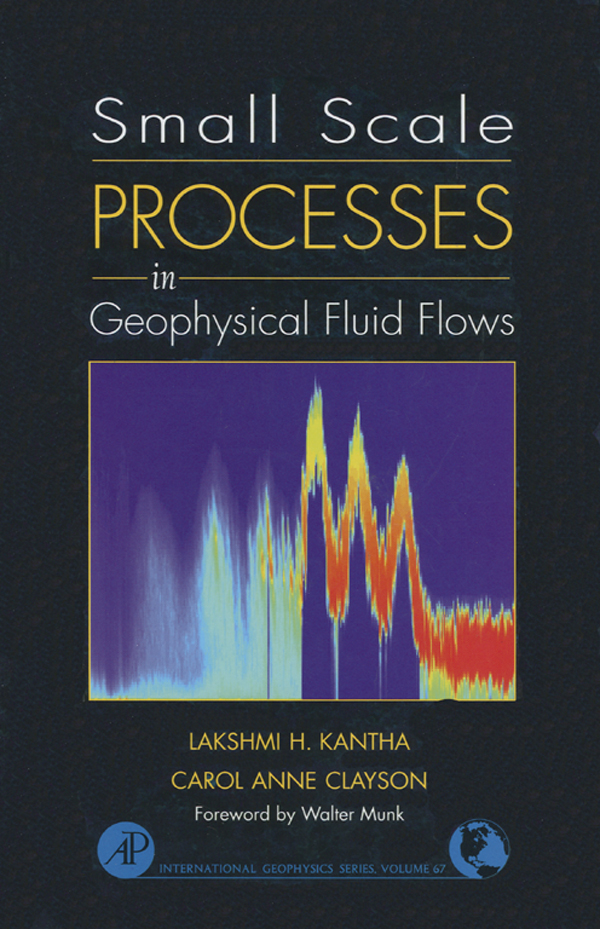 small scale processes in geophysical fluid flows