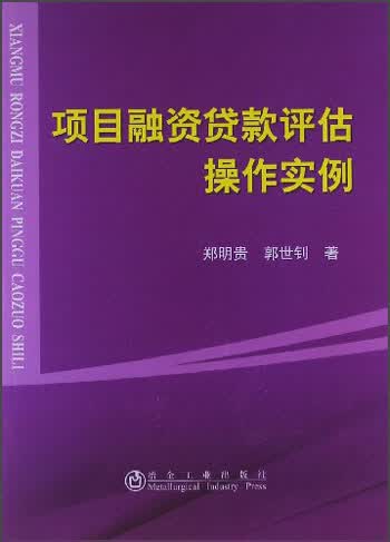 项目融资贷款评估操作实例