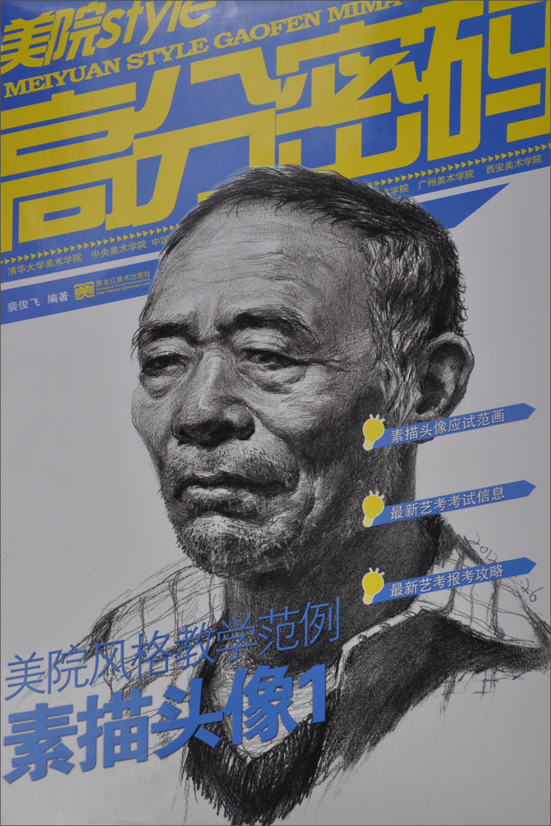 美院STYLE·高分密码·美院风格教学范例：素描头像（1）