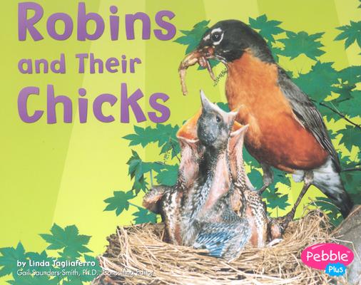 【预订】robins and their chicks