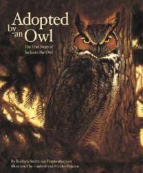【预订】adopted by an owl: the true story of