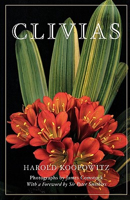 Clivias
