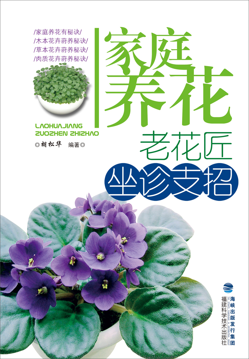 家庭养花：老花匠坐诊支招