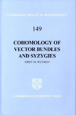 Cohomology of Vector Bundles and