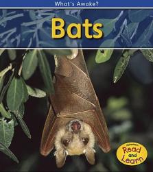 【预订】bats: 2nd edition