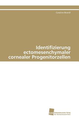Identifizierung Ectomesenchym