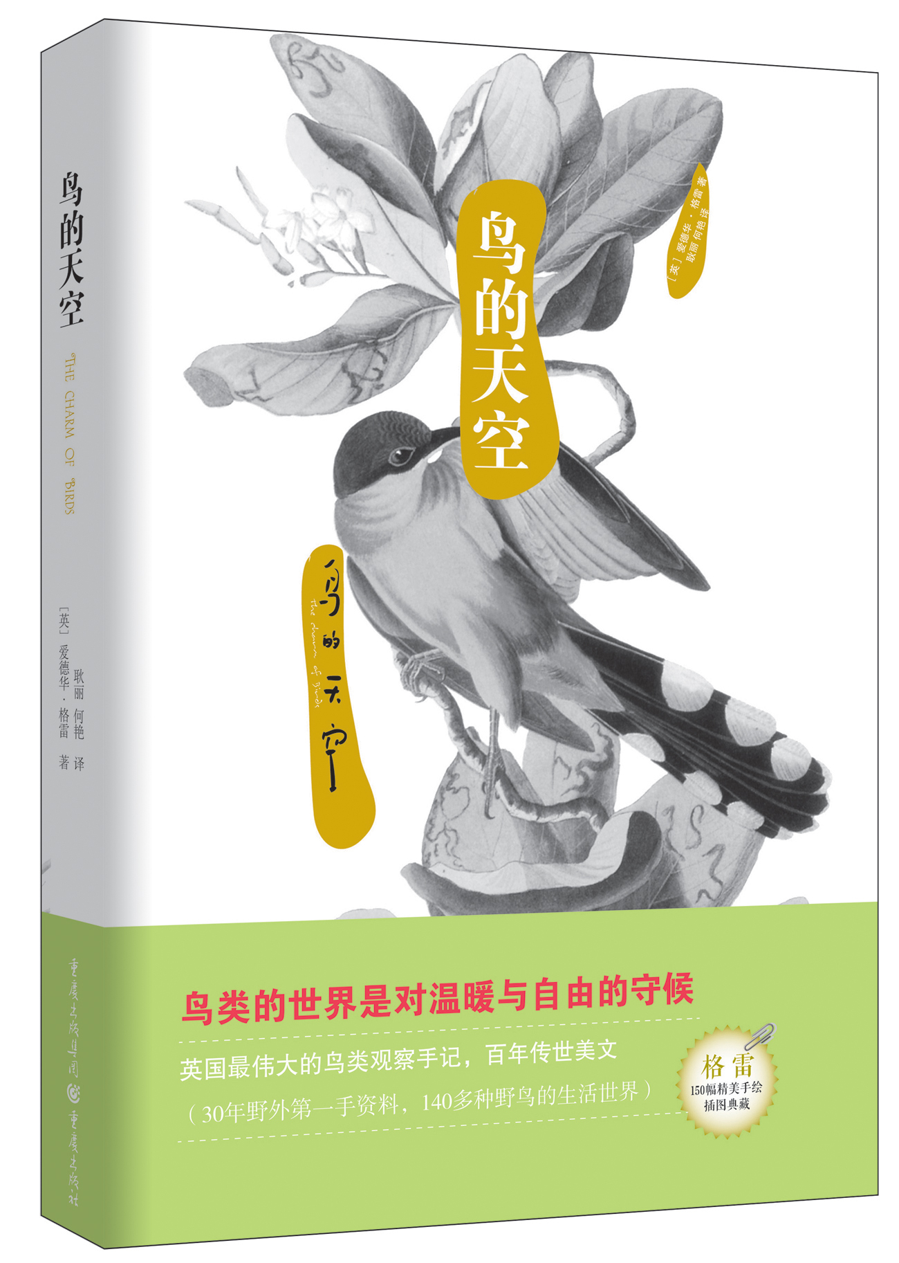 鸟的天空 鸟的天空