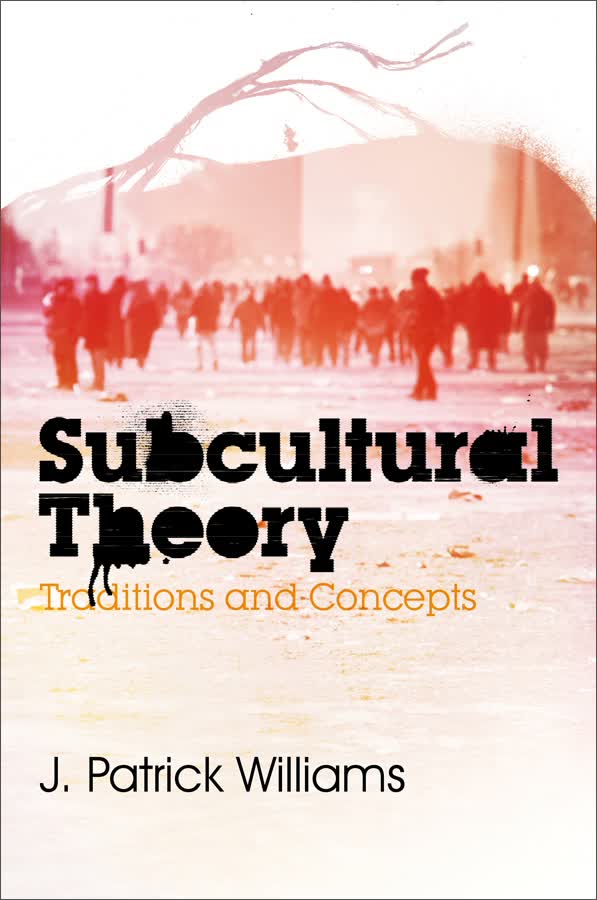 subcultural theory: traditions and concepts
