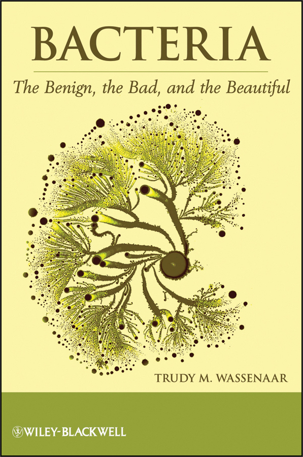 bacteria: the benign, the bad, and the beautiful