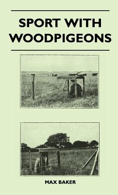 Sport with Woodpigeons