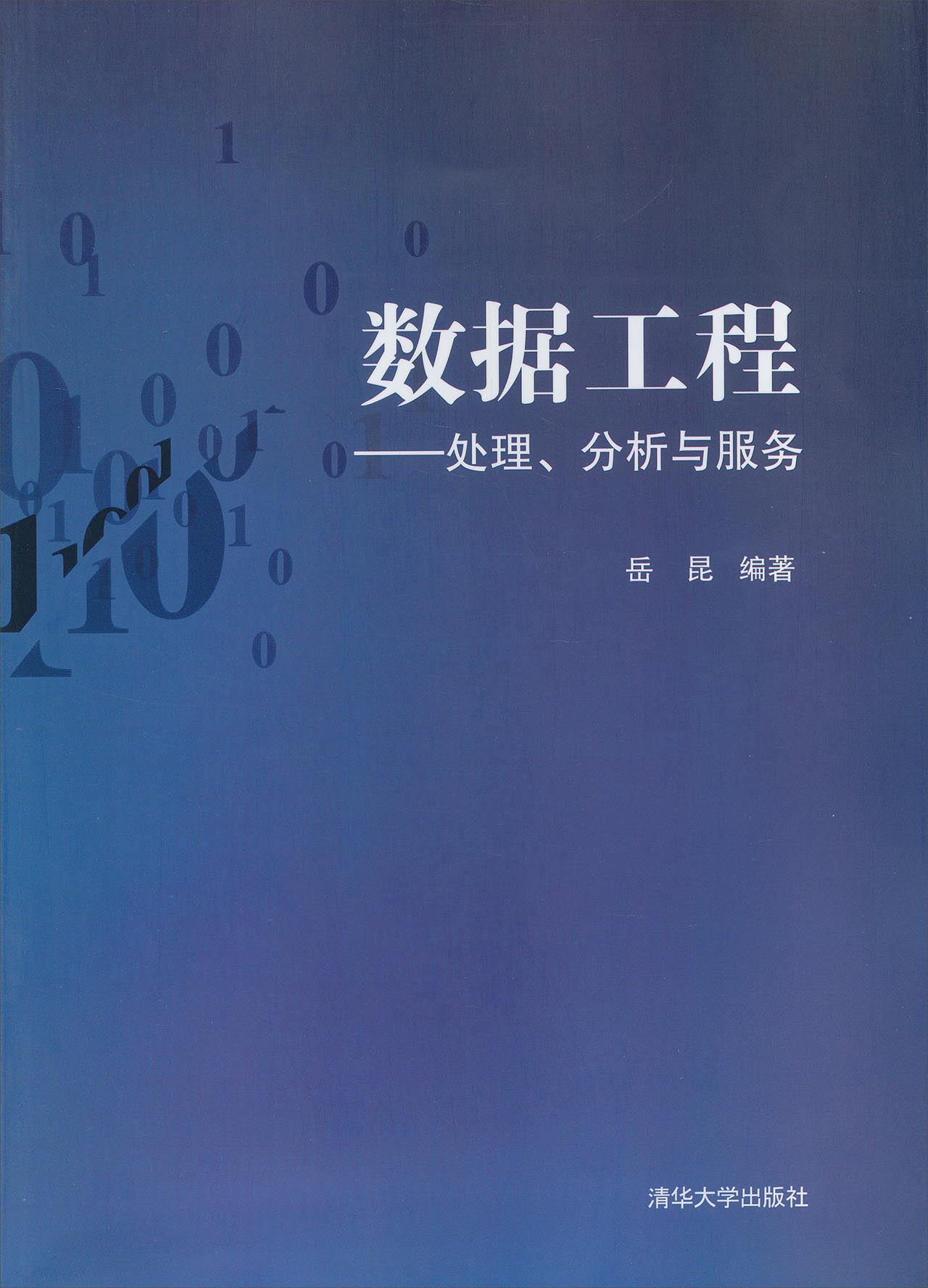数据工程：处理、分析与服务